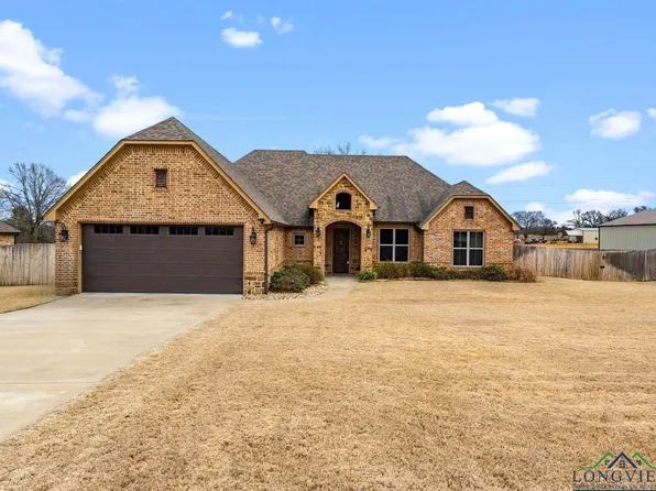 156 Rolling Meadow Dr, Diana, TX 75640