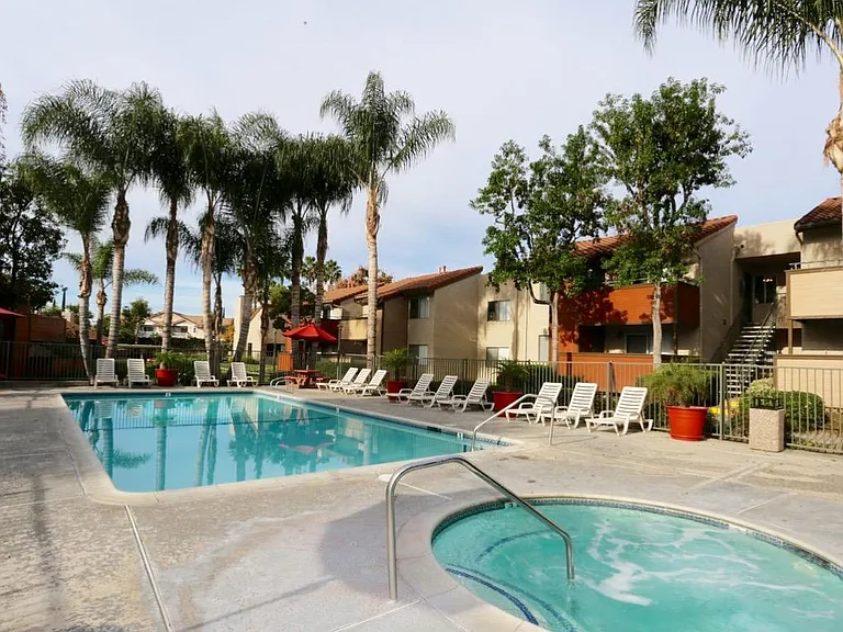 Pool and Spa