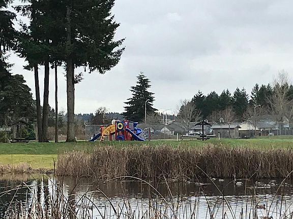 Wetland across the street; ducks, red winged black birds, frogs,