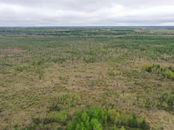 580th Ave, Deer Creek, MN 56527