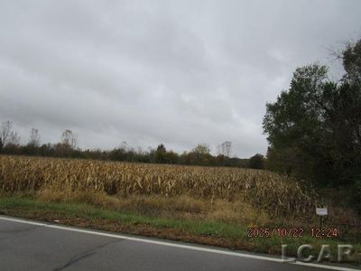 13002 Bartlett Rd, Clinton, MI, 49236