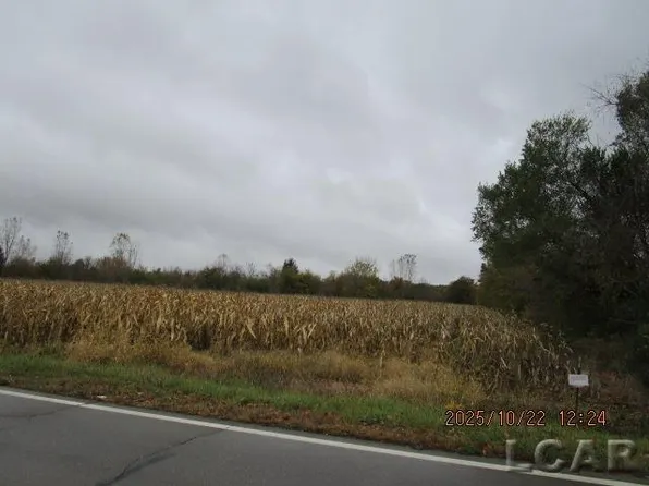 13002 Bartlett Rd, Clinton, MI 49236