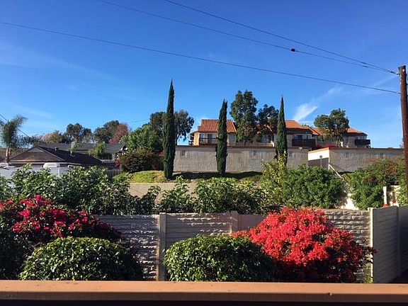 View from the Balcony