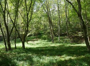 Dean Hollow Rd, Nickelsville, VA 24271