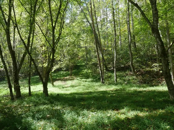 Dean Hollow Rd, Nickelsville, VA 24271