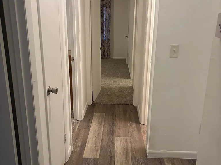3421 Red Cloud Trl — Photo 5