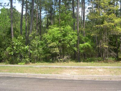 103 Pineberry Dr., Georgetown, SC, 29440
