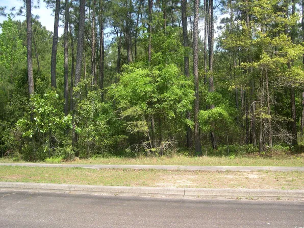 103 Pineberry Dr., Georgetown, SC 29440