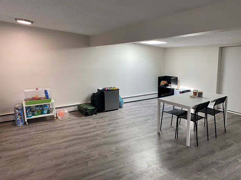 2 Hine Pl #4A — Photo 5