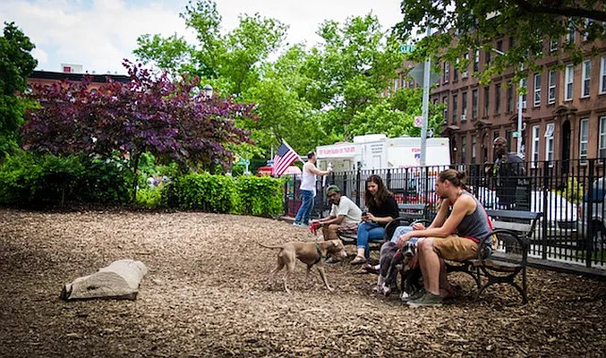 Rented by 880 DeKalb LLC | media 15