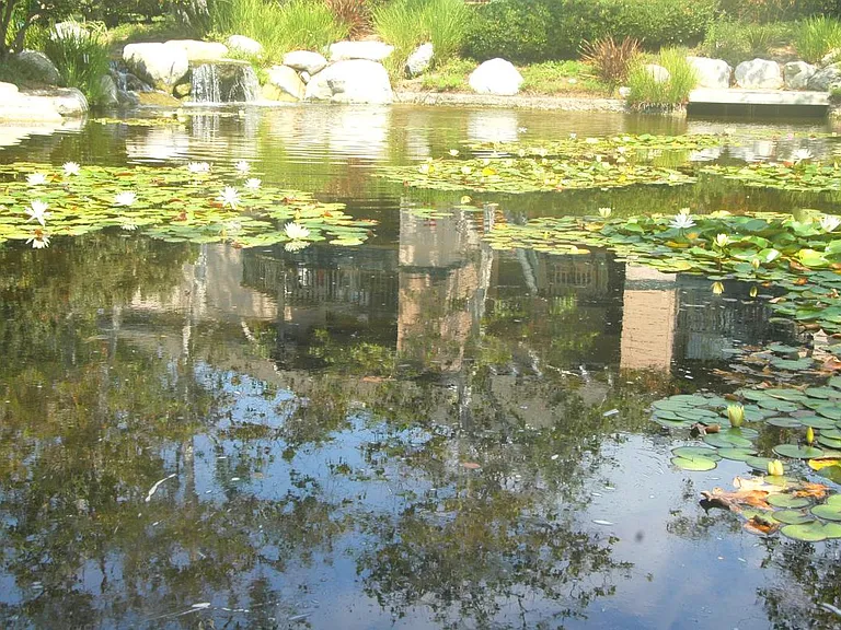 12205 Carmel Vista Rd #141 — Photo 14