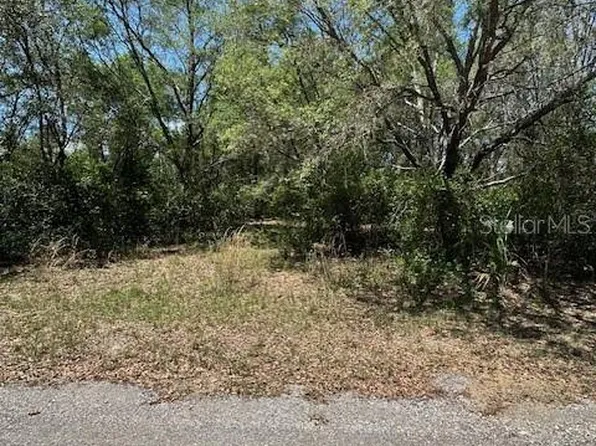8681 N Catapane Loop Lot 38, Crystal River, FL 34428
