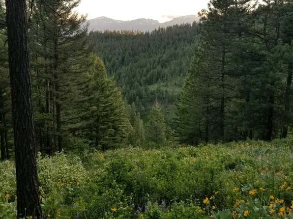 2157 Twisted Pine Rd, Florence, MT 59833