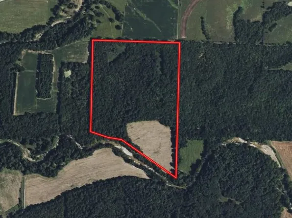 53/ACRE S Louisville Rd, Bowling Green, MO 63334