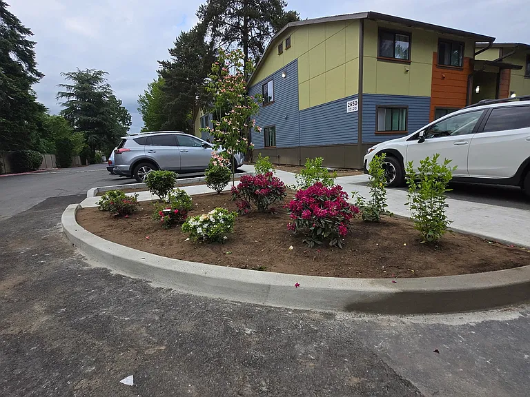 New Landscaping