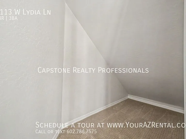 4113 W Lydia Ln — Photo 21