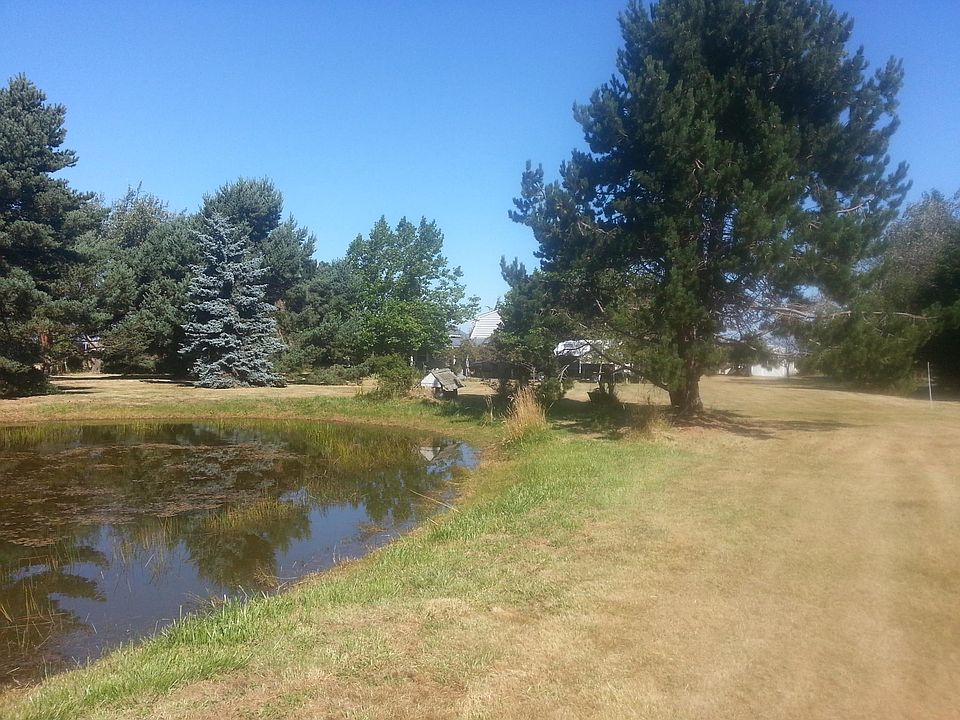 Pond in the foreground once held trout. This is looking North--the house is seen below the tree and is approximately halfway between the property's northern and southern boundaries.