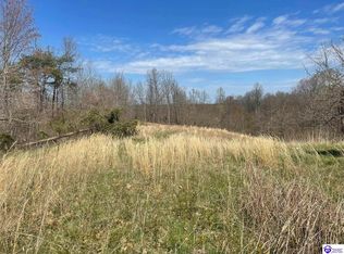 66 W Skaggs Rd, Buffalo, KY 42716