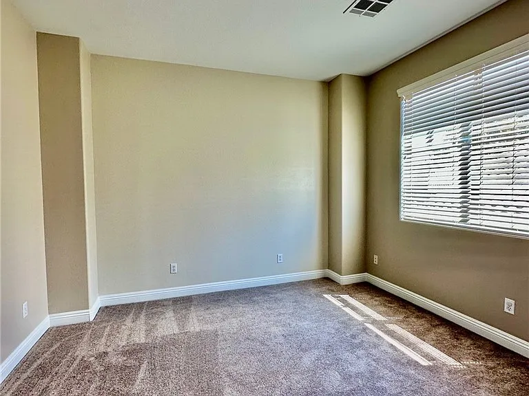 1220 Olivia Pkwy — Photo 21