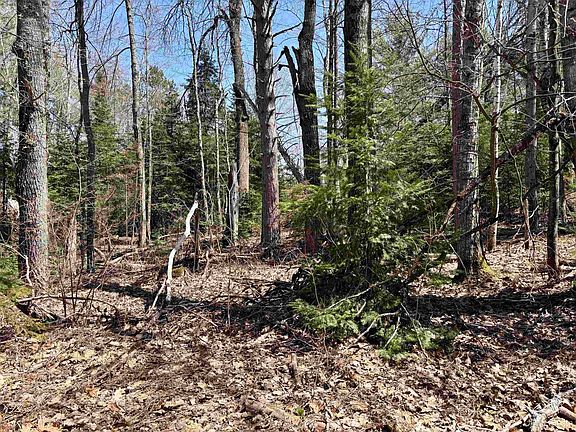 4th image of County Road 581