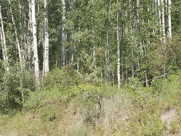 5th image of TBD County Road 3