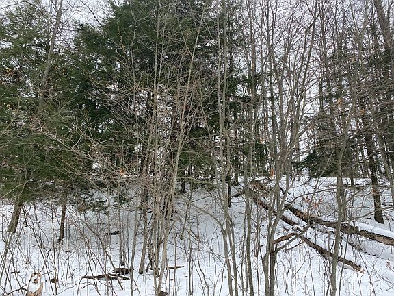 4th image of N Ogemaw Trl