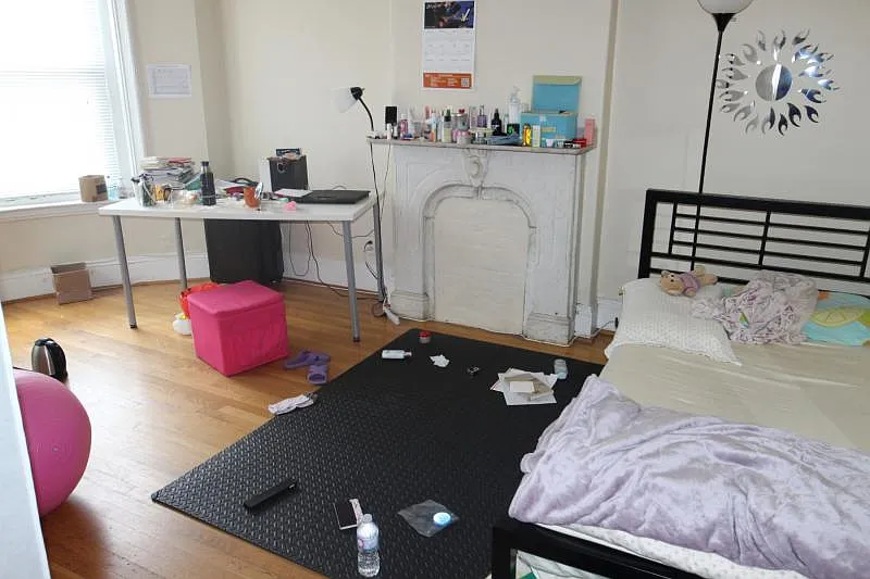 3 bed, 950 sqft, $5,000 — Photo 4