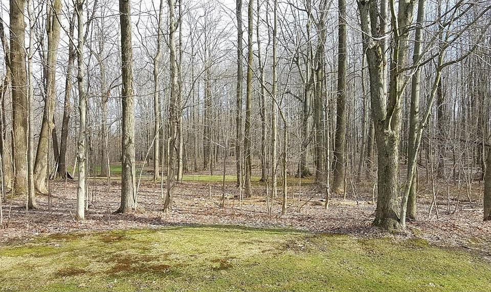 Standing at the NW front corner of the property.