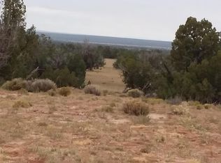 6 Parcel 005 T17n R29e Sec, Saint Johns, AZ 85936