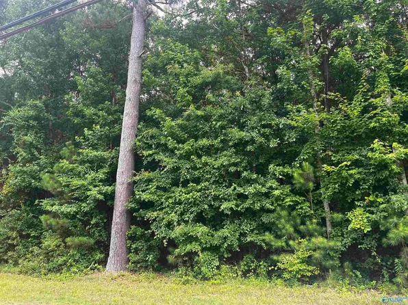 Old Moulton Rd, Decatur, AL 35603