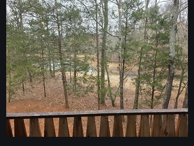 290 Beaver Lodge Rd — Photo 16