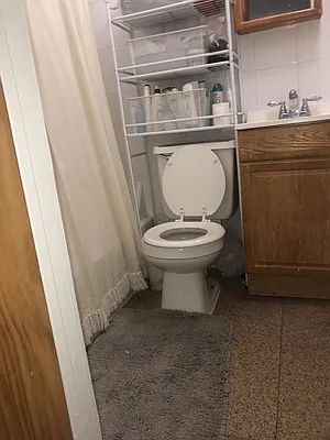 Rented by Aryeh Realty | media 19