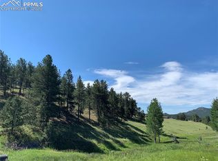 218 High Pasture Rd, Florissant, CO 80816