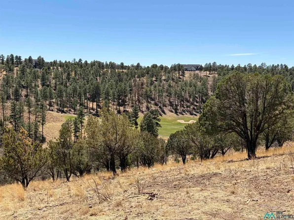 136 Bobby Jones Ln, Alto, NM 88312