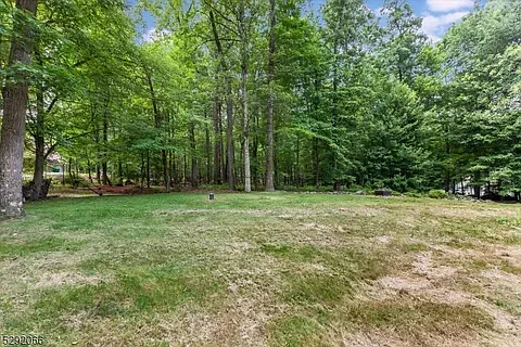 36 Longview Rd — Photo 25