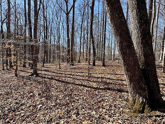 5th image of 0 Beech Grove Rd Lot 10