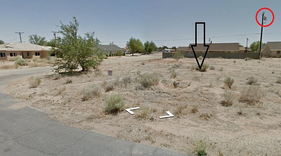 2nd image of Lime Ave