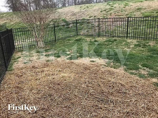 6004 Carson Springs Ct — Photo 10