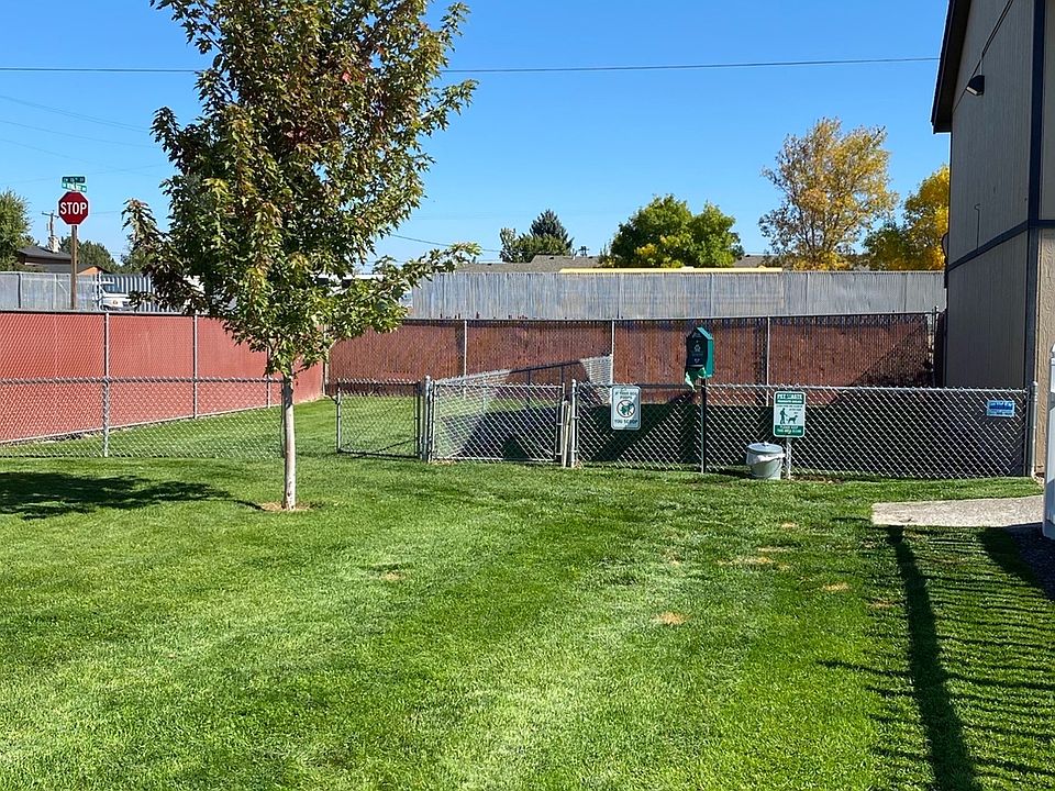 Fenced in Dog Park