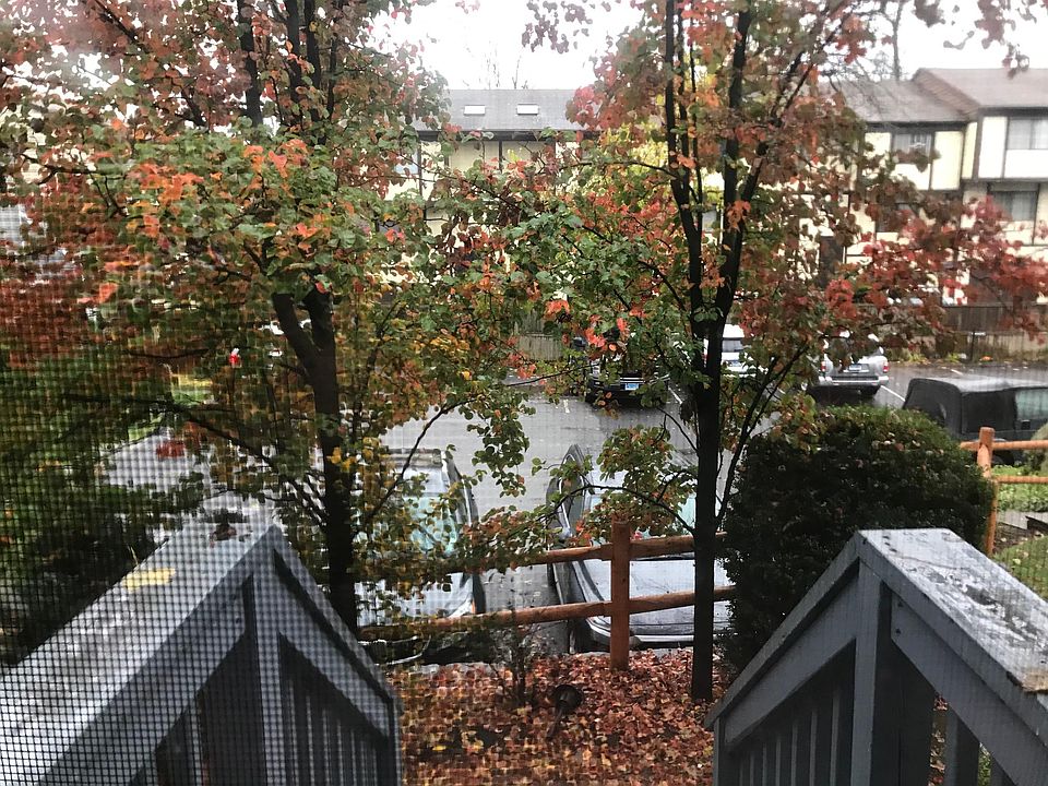View from the front door