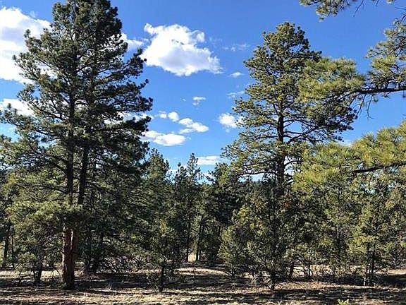 3rd image of L14 Texas Creek Ln