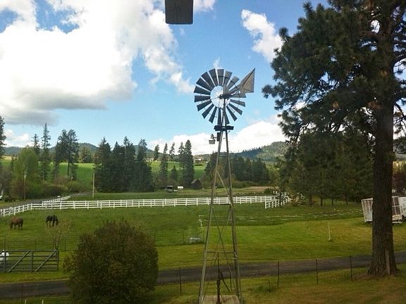 View out of N. Bedroom