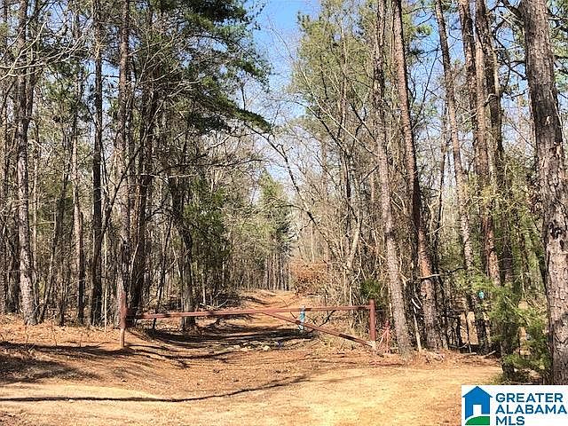 1st image of Highway 17 Burnt Pine Dr #1-36