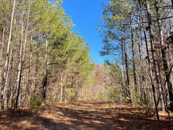 0 County Road 18, Roanoke, AL 36274