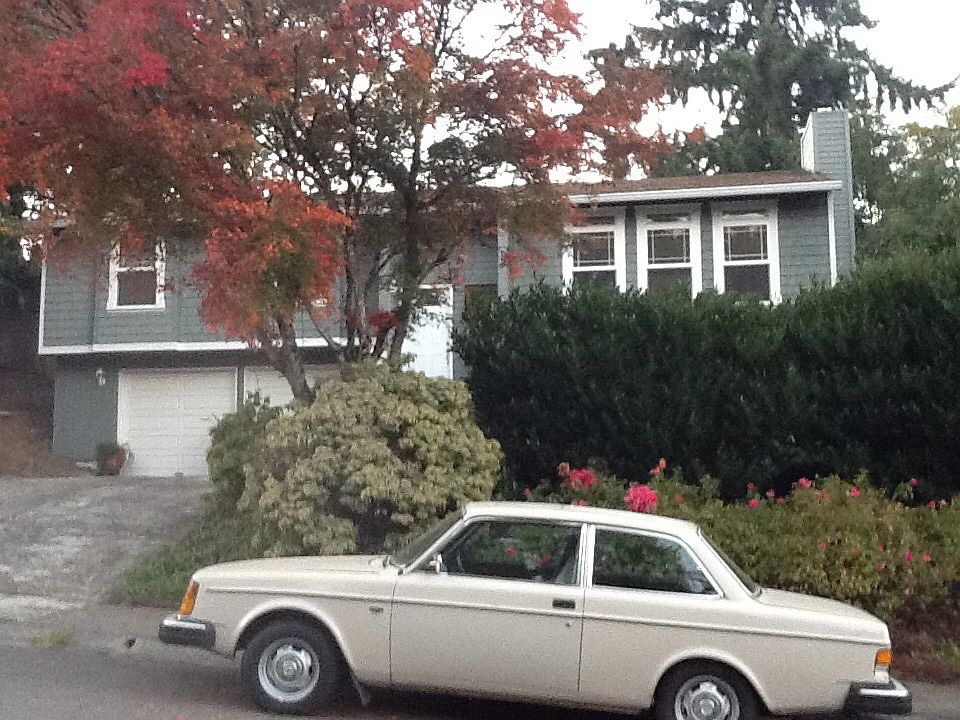 2nd image of 2328 Appaloosa Way
