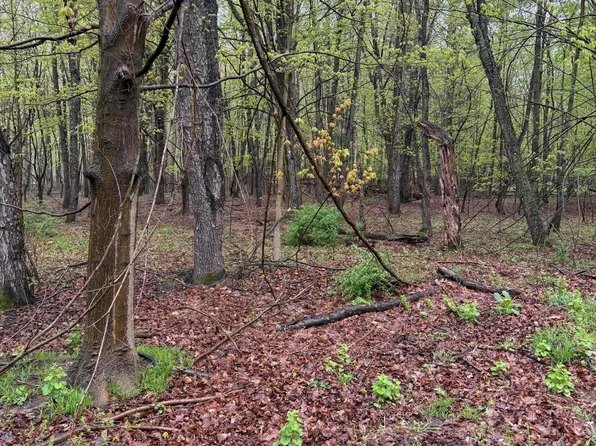 LOT 2 Christopher Ln, South Haven, MI 49090
