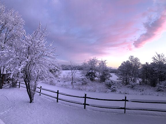 View from living room.