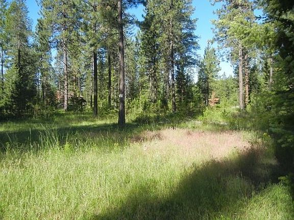 5th image of 0 Palmer Ln Lot 10