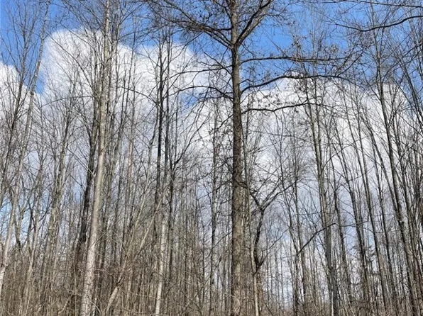 Plank Rd, Orwell, OH 44076