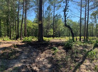 425 Bumpy Ln, Sanford, NC 27332